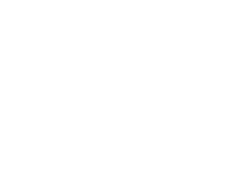 logo-snas